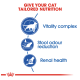 Image promoting tailored nutrition for cats, featuring icons for vitality complex, stool odour reduction, and renal health.