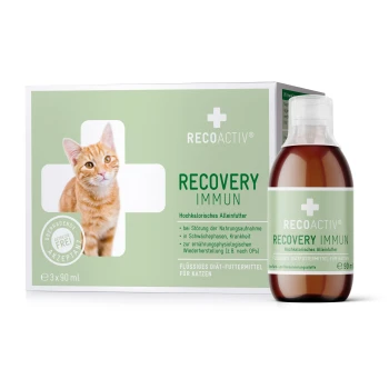 Eine Box mit RECOACTIV Recovery Immun für Katzen, mit einer orangefarbenen Tabby und einer Flasche, die die Nährstoffunterstützung während der Krankheit hervorhebt.