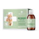 Eine Box mit RECOACTIV Recovery Immun für Katzen, mit einer orangefarbenen Tabby und einer Flasche, die die Nährstoffunterstützung während der Krankheit hervorhebt.