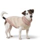Hundepullover Odense mit Mütze (Set) creme 60 cm