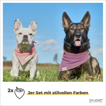Ein weißer Französischer Bulldogge und ein schwarzer Deutscher Schäferhund in rosa Bandanas vor einem blauen Himmel und einer grünen Wiese. Text: "2x 2er Set mit stilvollen Farben."