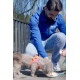 Kleiner grau-zotteliger Hund im orangefarbenen Geschirr trinkt aus einer Schale, während ein kniender Mann in blauer Canina-Jacke ('seit 1984') die Leine hält.
