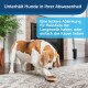 PetSafe Snackspielzeug, befüllbares Hundespielzeug Steak braun/ beige S-M