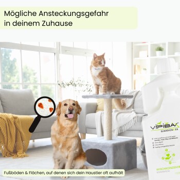 Wohnzimmer mit einer Katze am Kratzbaum, einem Hund, der eine Leine hält, und einer Flasche Vipibax-Desinfektionsmittel; Text warnt vor Infektionsgefahr.