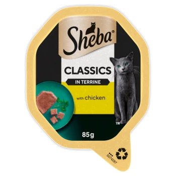 Sheba Classics in Terrine 85g cat food tray — "with chicken" label, grey cat image and plate of chicken pieces