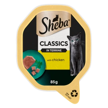 Sheba Classics in Terrine 85g cat food tray — "with chicken" label, grey cat image and plate of chicken pieces