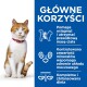 Pomarańczowy i biały kot z czerwoną obrożą obok niebieskiego tekstu wymieniającego korzyści dla masy ciała, zdrowia układu moczowego i zrównoważonej diety.