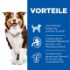 Hund auf blauem Hintergrund mit dem Text "VORTEILE", der die Vorteile von Tierfutter hervorhebt: hoher Proteinanteil, ausgewogene Mineralien, Omega-6 und Vitamin E.