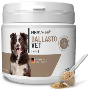 Behälter von REAVET+ BALLASTO VET für Hunde, 250g, mit einem lächelnden braun-weißen Hund auf dem Etikett, gekennzeichnet mit "Hergestellt in Deutschland."