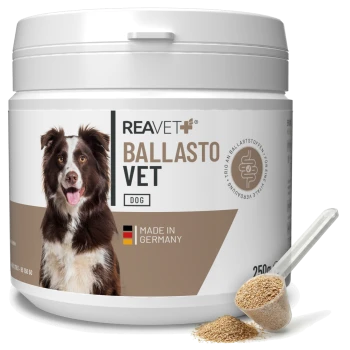 Behälter von REAVET+ BALLASTO VET für Hunde, 250g, mit einem lächelnden braun-weißen Hund auf dem Etikett, gekennzeichnet mit "Hergestellt in Deutschland."