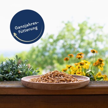 Ein Holzbrett mit Mehlwürmern auf einer Holzoberfläche, umgeben von grünen Pflanzen und gelben Blumen, mit einem blauen Etikett "Ganzjahresfütterung."