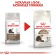 Deux sacs de nourriture pour chats Royal Canin : à gauche pour les chats de 12 ans et plus, à droite pour les chats seniors. Le texte au-dessus dit "NOUVEAU LOOK, NOUVELLE FORMULE."
