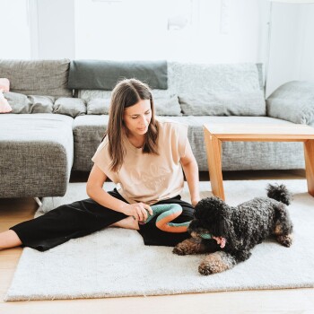 Eine Person sitzt auf einem Teppich in einem Wohnzimmer und spielt mit einem schwarzen Hund und einem grünen Spielzeug. Eine graue Couch ist im Hintergrund.
