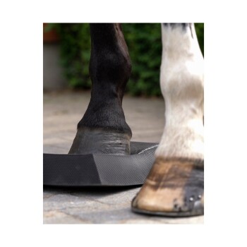 Nahaufnahme von zwei Pferdehufen, die auf einer strukturierten schwarzen Matte stehen, um den Kontrast zwischen einem dunklen und einem hellen Huf zu zeigen.