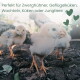 Drei flauschige Küken auf Erde; deutscher Text 'Perfekt für Zwerghühner, Geflügelküken, Wachteln, Küken oder Jungtiere' und grüne Herzsymbole