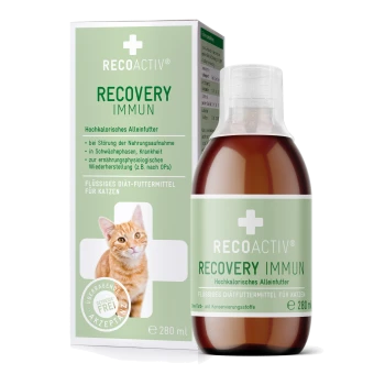 Flasche RECOACTIV Recovery Immun für Katzen, 280 ml, mit einer verspielten orangefarbenen Tabby auf der Verpackung als hochkalorisches Diätfutter.