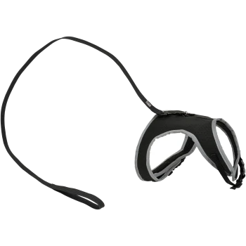 Harnais pour animaux de compagnie noir avec une laisse assortie, présentant un design rembourré et des bords réfléchissants pour la sécurité.