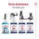 Opakowanie karmy dla psów Royal Canin z formułami dostosowanymi do wieku: Szczeniak, Dorosły, Dorosły 5+ i Starzejący się 8+.