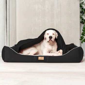 Ein großer weißer Hund liegt bequem in einem schwarzen Haustierbett mit einer teilweise darüber liegenden Decke, vor einer hellen Wand.