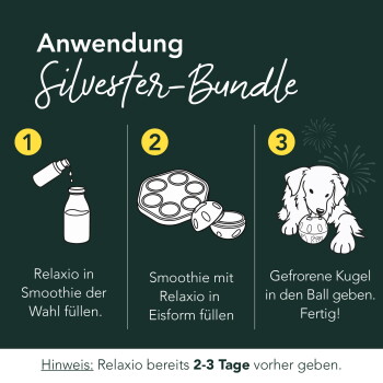Anleitung "Anwendung Silvester-Bundle": 3 Schritte — Relaxio in den Smoothie geben, Eisform füllen, gefrorenen Ball dem Hund geben. Hinweis: Relaxio 2–3 Tage vorher.