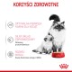 Kot i kociak przy czerwonej misce "ROYAL CANIN", z tekstem o korzyściach zdrowotnych dla kociąt: układ odpornościowy i rozwój mózgu.