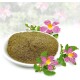 Eine Schüssel mit grünem Kräuterpulver, umgeben von rosa Blumen und grünen Blättern, was auf ein natürliches Haustierergänzungsmittel hindeutet.