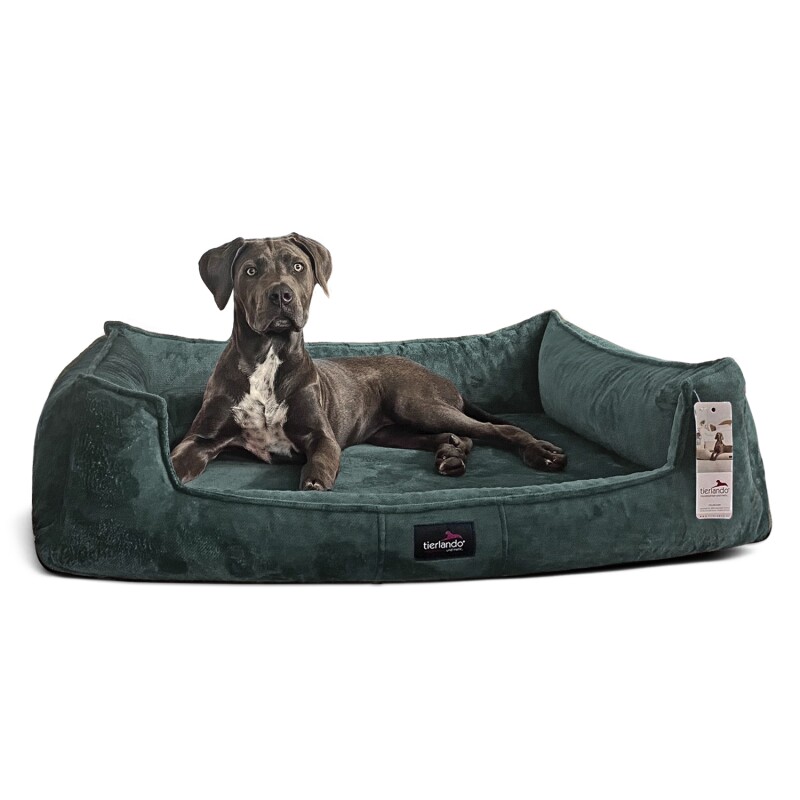 Tierlando ® Orthopädisches Hundebett FRANKLIN Kuscheliger Teddy-Stoff - Hundesofa petrol 90 cm, 22 cm, 75 cm