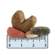 Close-up of various pet food kibble pieces in different shapes and colors, placed on a ruler for size reference.