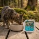 Chat tigré buvant dans une coupelle à côté d'un plateau de nourriture pour chats adultes Wilderness Fresh Water sur une terrasse en bois dans une forêt