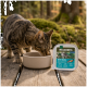 Getigerte Katze trinkt aus einer Schale neben einer Wilderness Fresh Water Adult-Futterschale auf einem Holzdeck im Wald.