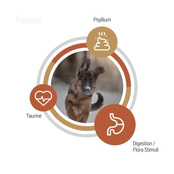 Ein verspielter Hund mit Schnee auf der Nase ist im Mittelpunkt einer kreisförmigen Grafik mit Symbolen für Flohsamen, Taurin und Verdauungs-/Flora-Stimuli.