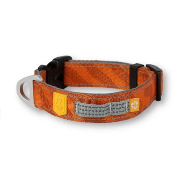 Oranges Haustierhalsband mit einem reflektierenden Streifen, schwarzer Schnalle und gelbem Etikett mit einem Pfotenabdruck und einem Recycling-Symbol.