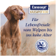Brauner Hund auf einer Wiese mit dem 'Canosept Hausapotheke'-Logo und dem Text: 'Für Lebensfreude vom Welpen bis ins hohe Alter'.