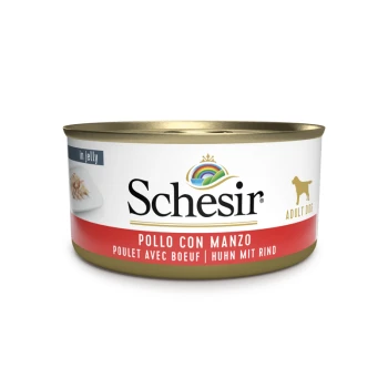 Schesir Dosen-Hundefutter in Gelee, beschriftet mit "Pollo con Manzo" (Huhn mit Rind) für erwachsene Hunde, mit einem goldenen und roten Design.