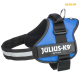 Blaues Julius-K9 Hundegeschirr mit reflektierendem Riemen und verstellbarem Schnallen, mit einem auffälligen Logo an der Seite.