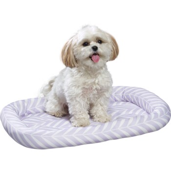 Small white fluffy dog with light brown ears sitting on a lavender and white patterned pet bed against a black background.