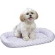 Small white fluffy dog with light brown ears sitting on a lavender and white patterned pet bed against a black background.