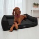 Brauner Hund mit rosa Halsband liegt auf einem schwarzen Tierlando Haustierbett in einem hellen Raum mit weißen Vorhängen.