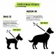 GRÖSSENRATGEBER: zeigt SMALL (S) – 16 mm Breite mit kleiner Hundesilhouette und MEDIUM (M) – 19 mm Breite mit größerer Hundesilhouette.