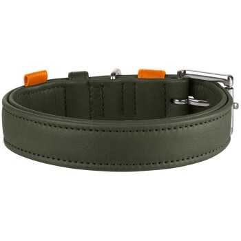 Olivgrünes, gepolstertes Lederhalsband mit abgesteppten Kanten, silberner Schnalle und orangefarbenen Akzenten.