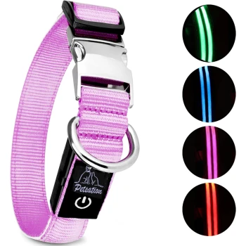 Leuchthalsband Hundehalsband pink M Rosa LED-Hundehalsband mit silberner Schnalle und schwarzem Power-Knopf, das leuchtende Farben zeigt: grün, blau, pink und rot.