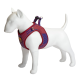 Weiße Hundeschaufensterpuppe trägt ein blau-rot gestreiftes Hundegeschirr mit FC Barcelona Logo auf der Brust.