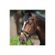 Trense Ivy WB (Warmblut)