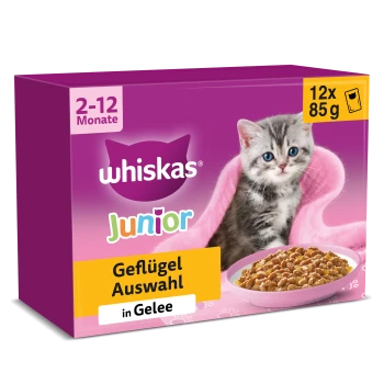 Whiskas Junior Katzenfutterbox mit Kätzchen und Schale; sichtbarer Text: '2–12 Monate', 'Geflügel Auswahl in Gelee', '12x 85g'