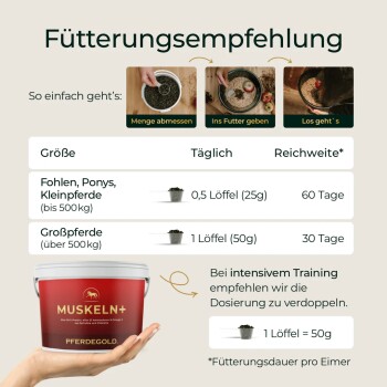 Poster „Fütterungsempfehlung“ mit roter MUSKELN+ Pferdegold-Dose und Dosierungstabelle (0,5 Löffel = 25 g bei Fohlen, 1 Löffel = 50 g bei Pferden).