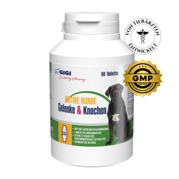Aktvie Hunde Gelenke & Knochen 90x216 g
