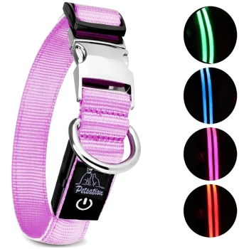 Rosa LED-Hundehalsband mit einer silbernen Schnalle und D-Ring, ausgestattet mit einem Einschaltknopf und leuchtenden Lichtoptionen in Grün, Blau, Pink und Rot.