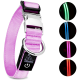Rosa LED-Hundehalsband mit einer silbernen Schnalle und D-Ring, ausgestattet mit einem Einschaltknopf und leuchtenden Lichtoptionen in Grün, Blau, Pink und Rot.