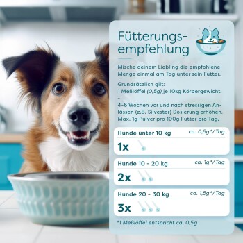 Fütterungstabelle für Hundefutter mit einer türkisfarbenen Schüssel; Dosierung basierend auf dem Gewicht: <10kg - 1 Portion, 10-20kg - 2 Portionen, 20-30kg - 3 Portionen.