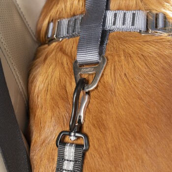 Kurgo Auto-Sicherheitsgurt für Hunde mit Swivel Tether mit  ISOFIX-Direktverbindung